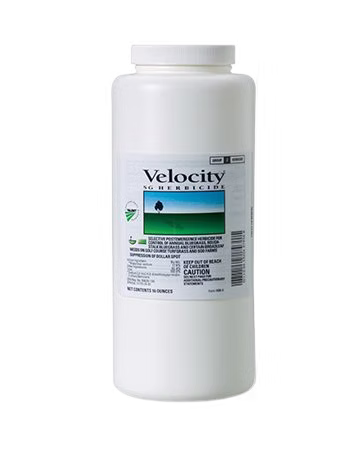 Velocity SP